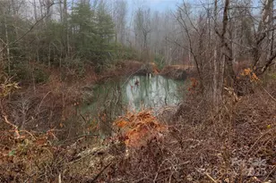 255 & 257 Crescent St, Saluda, NC 28773 - Photo 16