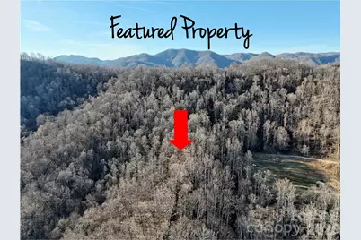 672 Porters Ridge, Canton, NC 28716 - Photo 4