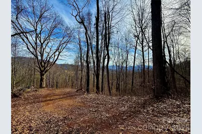 672 Porters Ridge, Canton, NC 28716 - Photo 2