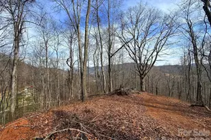 672 Porters Ridge, Canton, NC 28716 - Photo 1