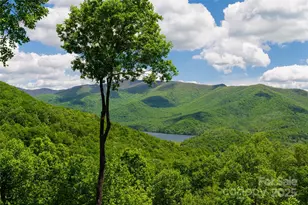 1 Wood Haven Ln, Black Mountain, NC 28711 - Photo 6