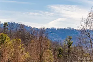 142 Twin Courts Dr, Weaverville, NC 28787 - Photo 20