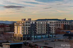 45 Asheland Ave, Asheville, NC 28801 - Photo 38