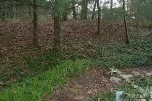 1631 High Meadow Ln, Hendersonville, NC 28739 - Photo 1