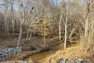 0 Clearwater Pkwy, Rutherfordton, NC 28139 - Photo 1