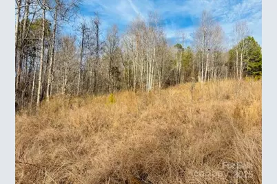 0 Clearwater Parkway #238, Rutherfordton, NC 28139 - Photo 14