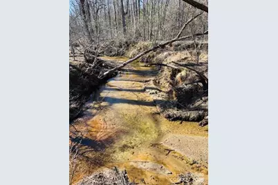 0 Clearwater Parkway #238, Rutherfordton, NC 28139 - Photo 32