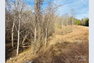 0 Clearwater Parkway #238, Rutherfordton, NC 28139 - Photo 2