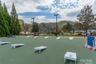 172 Summer Morning Ct, Lake Lure, NC 28746 - Photo 42