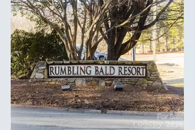 172 Summer Morning Court, Lake Lure, NC 28746 - Photo 38