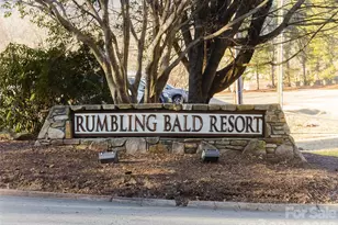 172 Summer Morning Ct, Lake Lure, NC 28746 - Photo 38