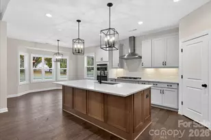 11020 Tyler Brook Ln, Mint Hill, NC 28227 - Photo 10