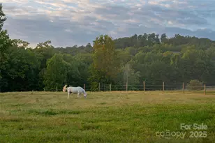 822 & 920 Preservation Trail, Columbus, NC 28722 - Photo 42