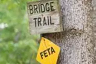 822 & 920 Preservation Trail, Columbus, NC 28722 - Photo 40