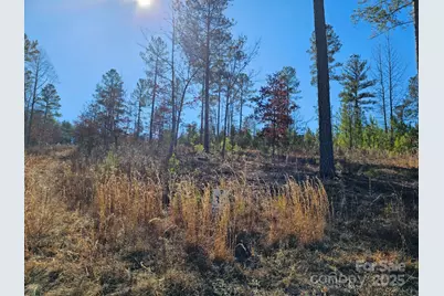 2195 Inlet Shore Road, Connelly Springs, NC 28612 - Photo 16