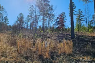 2195 Inlet Shore Rd, Connelly Springs, NC 28612 - Photo 16