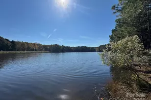 13828 Lake Bluff Dr, Matthews, NC 28105 - Photo 4