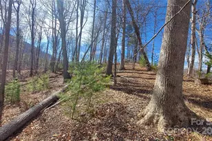 103 Barn Rd, Burnsville, NC 28714 - Photo 2