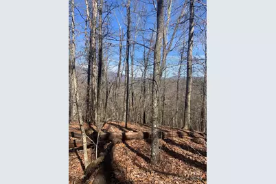 Tbd Ashe Branch View #66J, Hayesville, NC 28904 - Photo 14