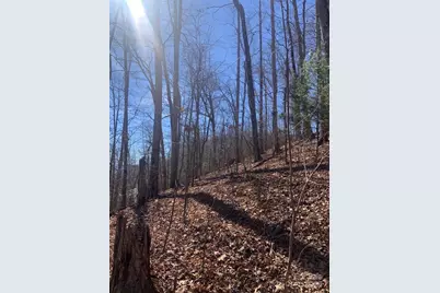 Tbd Ashe Branch View #66J, Hayesville, NC 28904 - Photo 8