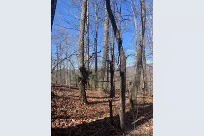 Tbd Ashe Branch View #66J, Hayesville, NC 28904 - Photo 12