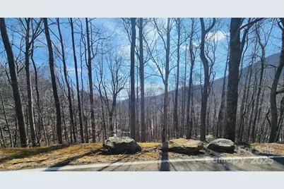 47 Wedgewood Terrace #1201, Black Mountain, NC 28711 - Photo 2