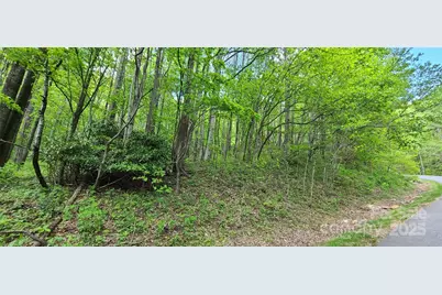 47 Wedgewood Terrace #1201, Black Mountain, NC 28711 - Photo 16