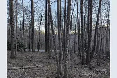 47 Wedgewood Terrace #1201, Black Mountain, NC 28711 - Photo 8