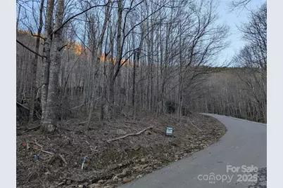 47 Wedgewood Terrace #1201, Black Mountain, NC 28711 - Photo 10