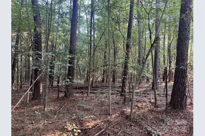 106 Serenity Creek Drive, Waxhaw, NC 28173 - Photo 10