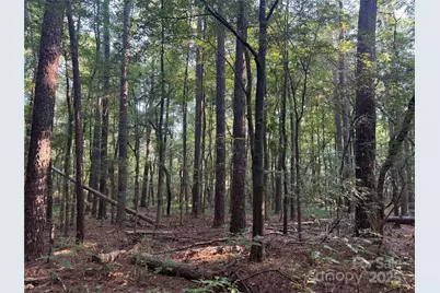 106 Serenity Creek Drive, Waxhaw, NC 28173 - Photo 16