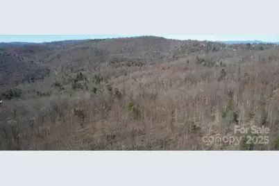 217 Chatsworth Court, Flat Rock, NC 28731 - Photo 4