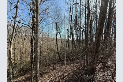 217 Chatsworth Court, Flat Rock, NC 28731 - Photo 16