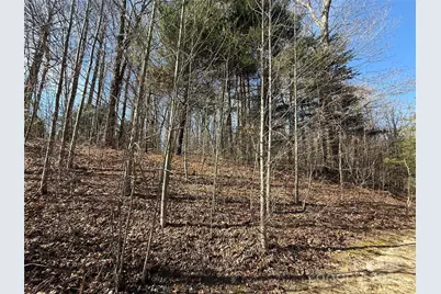 217 Chatsworth Court, Flat Rock, NC 28731 - Photo 18