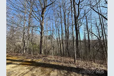 217 Chatsworth Court, Flat Rock, NC 28731 - Photo 12