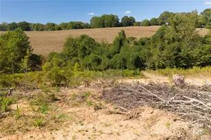 0 Carriage Rd, Statesville, NC 28677 - Photo 6