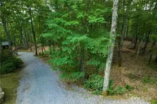 167 Bold Spgs Rd, Sylva, NC 28779 - Photo 36