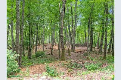 167 Bold Springs Road, Sylva, NC 28779 - Photo 34