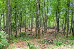 167 Bold Spgs Rd, Sylva, NC 28779 - Photo 34