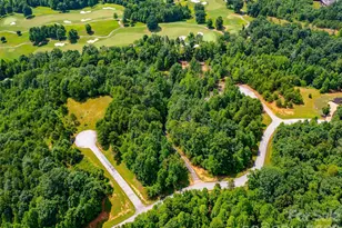 142 Elkton Ct, Mill Spring, NC 28756 - Photo 16