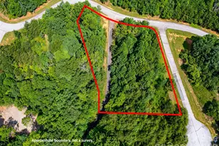 142 Elkton Ct, Mill Spring, NC 28756 - Photo 12