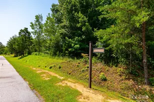 142 Elkton Ct, Mill Spring, NC 28756 - Photo 8