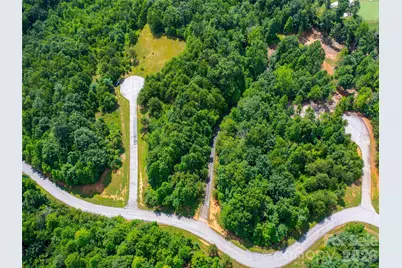 142 Elkton Court, Mill Spring, NC 28756 - Photo 14