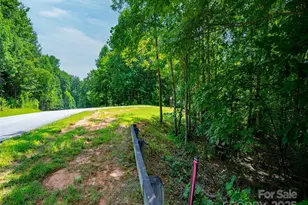 142 Elkton Ct, Mill Spring, NC 28756 - Photo 10