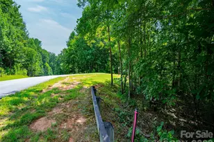 142 Elkton Ct, Mill Spring, NC 28756 - Photo 10