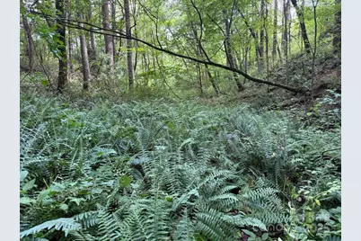 132 Hurd Road, Canton, NC 28716 - Photo 16