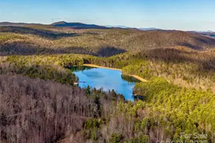 103 Duck Hope Dr, Hendersonville, NC 28739 - Photo 2