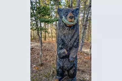 103 Duck Hope Drive, Hendersonville, NC 28739 - Photo 40