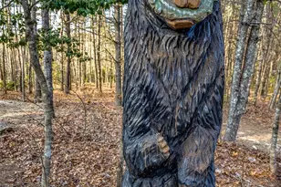 103 Duck Hope Dr, Hendersonville, NC 28739 - Photo 40