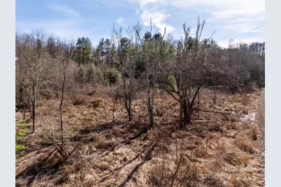 0 Woodland Drive, Waynesville, NC 28786 - Photo 12